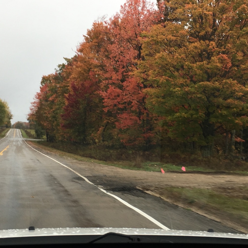 Meet your Posher, Hattie